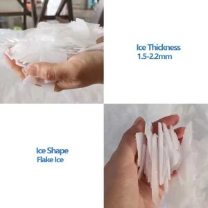 Automatic 1000kg 1 Ton Flake Ice Block Makers for Business Dimensions of M.unit