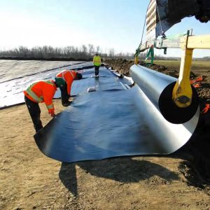 Durable HDPE Black Geomembrane Pond Liner 0.5mm–2mm for Circular Fish Tanks,