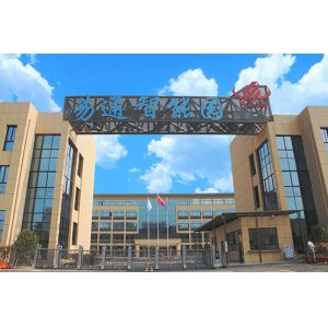 68 heads 250000CPH high speed LED pick and place machine for strip