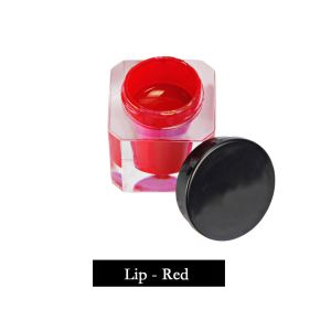 5g / Bottle Permanent Makeup Pigments For Micropigmentation For Eyebrow And Lip