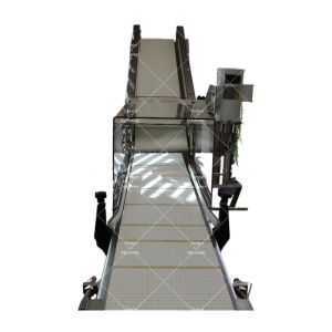 Spicy Salad Mix Microgreens Seeds Harvester for High Safety Level Professional