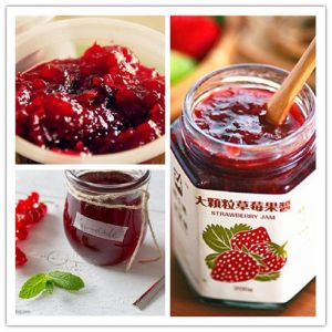 200kg/Hour Tomato Sauce Jacketed Kettle Cooker With Agitator