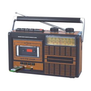 FM AM Portable Radio Player 220V 50Hz With Recording Function