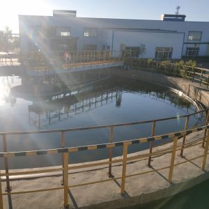 4.5m Sludge Scraper System Automatically Shut Down And Alarm