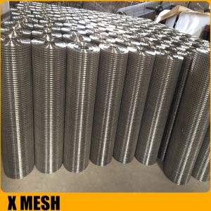 Wholesale Galvanized Powder Coated Welded Wire Mesh Stainless Steel Wire Mesh Use as a Vegetable and Fruit Stand from china suppliers