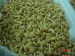IQF New Crop Frozen Fruits And Vegetables Forest Nameko Mushroom Whole Part ABC