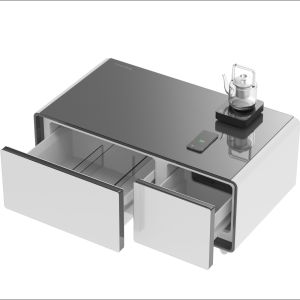 Smart Refrigerator Modern Style Compressor Mini Coffee Table with Wireless