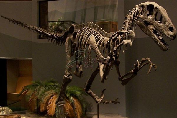 Artificial Simulation Complete Dinosaur Fossil Model Customization Support