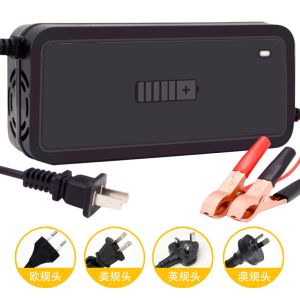 Intelligent Lead Acid Lithium Battery Charger 12v 24v 10A 20A 30A for Electric