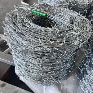 China 1.6mm 500m 25kgs/Roll Galvanized Barbed Wire Hot Dipped on sale