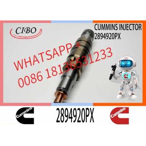 Diesel Common Rail Injector 2057401 2419679 4905880 2894920PX 2482244For C