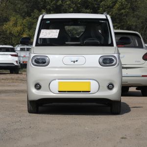 Wuling Hongguang EV Sedans 2023 MINIEV Pure Electric 4 Seater