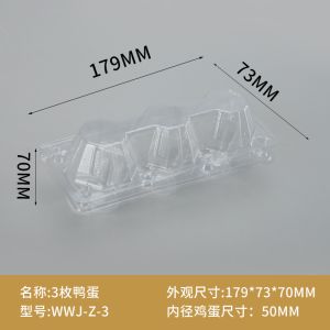 Small Plastic Egg Cartons - Clear 2 Dozen Quail Eggs Tray - Reusable Storage