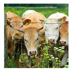 Galvanized Woven Wire Deer Fence for Farm and Field Kraal Height 0.8-2.4m Heat