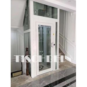 Golden Color Steel Structure Shaft Residential Building Home Elevators 300kg