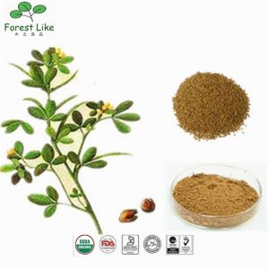 Fenugreek Seed / Trigonella Foenum-Graecum Extract Powder 50% Saponins