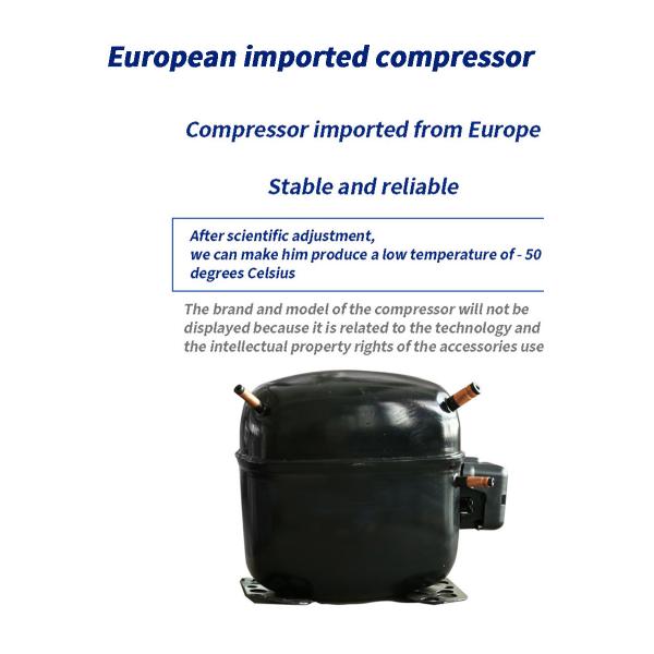 CE 5kg 6Kg Small Freeze Dryer 110V Mini Vacuum Lyophilizer For Lab