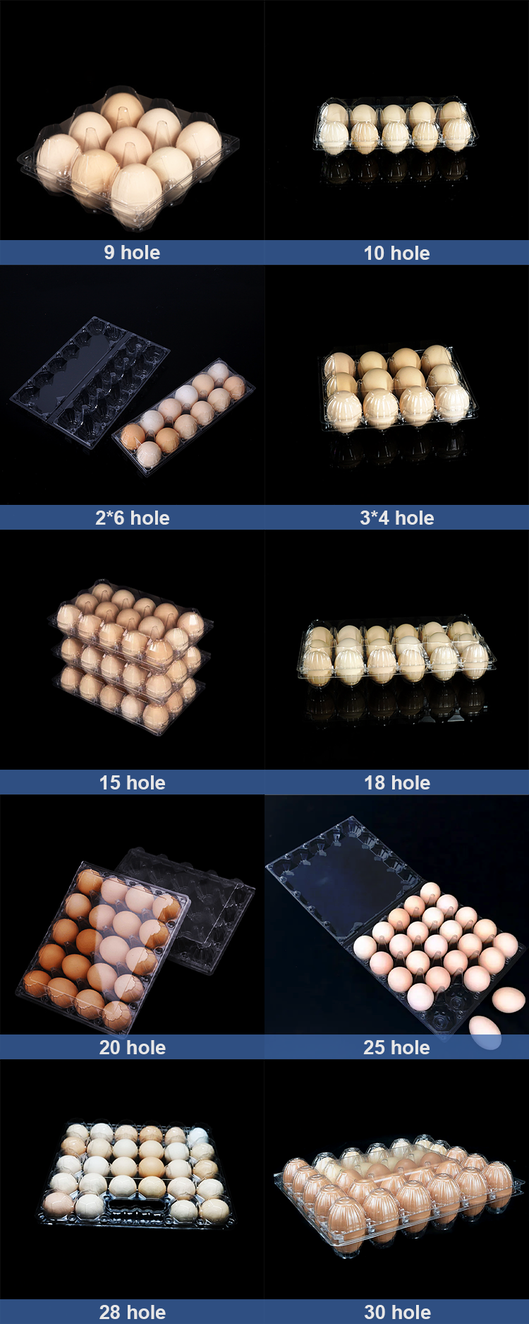 Transparent Plastic Egg Trays Egg Box Free Shipping Plastic Egg Tray with Handle