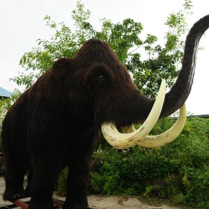 Wholesale Full Size Realistic Woolly Mammoth Waterproof for Amusement Park from china suppliers