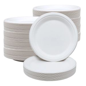 Fruit Eco Compostable Sugarcane Plates Round Biodegradable Sugarcane Bagasse