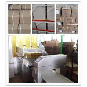 Sliced Form Spices Wasabi Paste Tube Pickled Type 750g/Bag