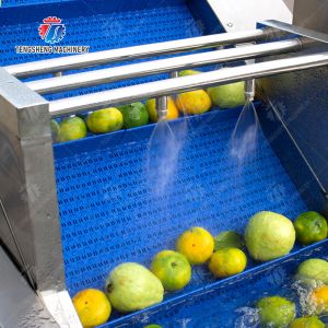 Customized Driven Pesticide Exclude Vegetable Processing Line , Centrifuging