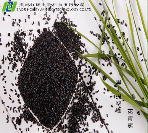 Hot Selling Black Rice Extract Powder in 2015