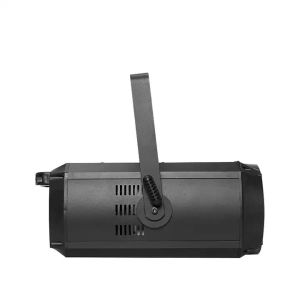 Warm White / Cool White IP20 2 In1 200w/300w LED COB DMX Par Light With Zoom