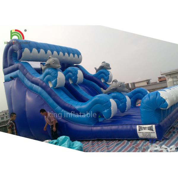 Shark Model Inflatable Dry Slide Adults Play For Beach 2 Years Warranty