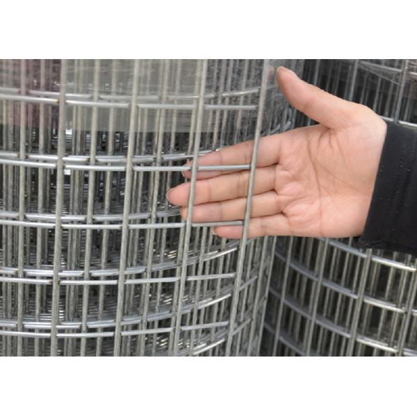 Galvanized Welded Wire Mesh For Garden Fence Rust Resistant Fencing with Zinc