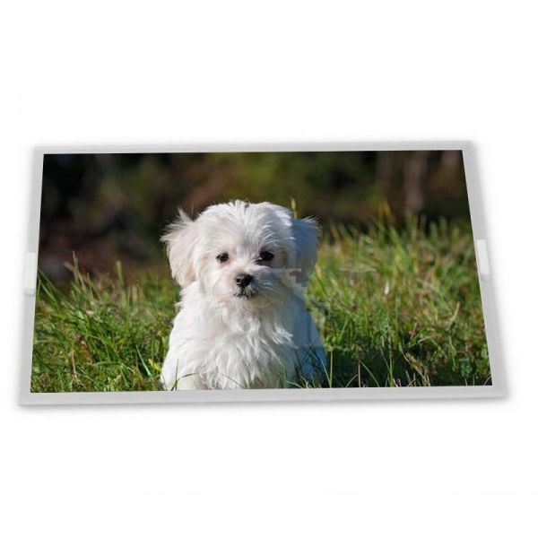 3.5-Inch WLED TFT LCD Display Module with 320*240 Resolution LED Backlight Panel