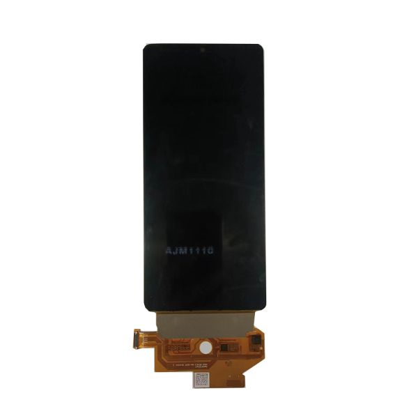 6.67 Inch Bendable Transparent Oled Display Module Amoled Touch Screen 2400x1080 FHD SJ067FHD1-000
