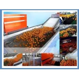 Avocado Orange Fruit Washing Waxing Drying And Grading Sorting Machine