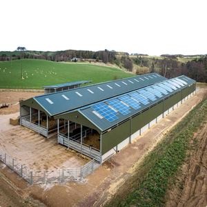 Modern Light Steel Frame Cattle Shed with Galvanized Steel Structure