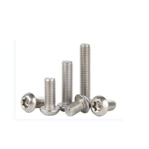 Anti-Theft Torx Pin Screw Made of SS304 Steel for Maximum Protection and