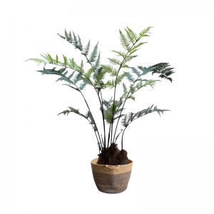 Wholesale 150cm Height Artificial Green Potted Bonsai Window Corner Landscaping Large Fern Tree from china suppliers