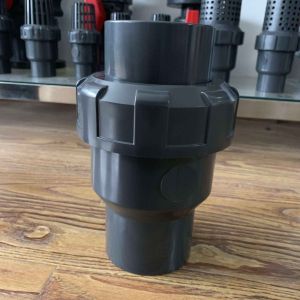 QX Standard PVC Pipe Union Check Valve for Efficiently-Designed Irrigation Water