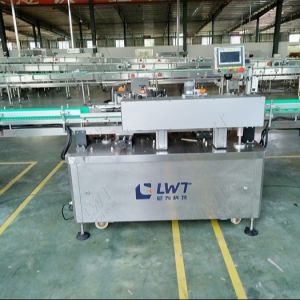 Full Set Canned Pickled Cucumber Production Line Canned Cucumber Processing Line