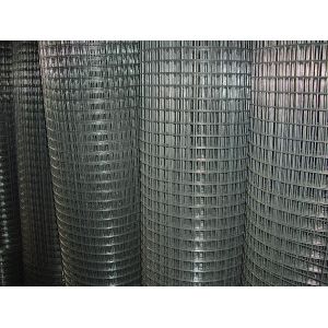 Wholesale Electronic Galvanized Welding Wire Mesh 1/2 Inch , Gi Wire Mesh 0.6m -2m Width from china suppliers