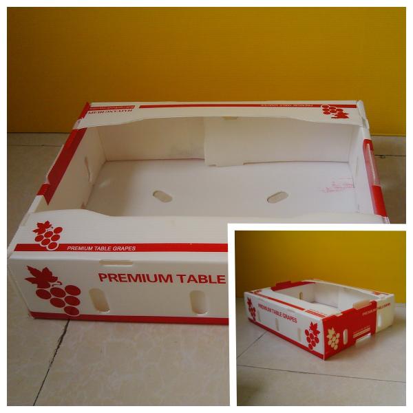 Polypropylene 5mm Corrugated Boxes For Fruit Packaging Waterproof