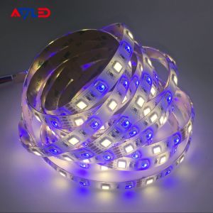 Color Changing LED Strip Light Addressable Smart RGB W White 24V DC 5050