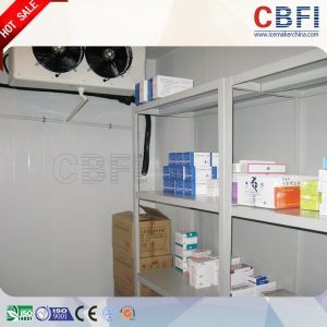 Nice Appearance Freezer Cold Room With Automatically Sliding Door