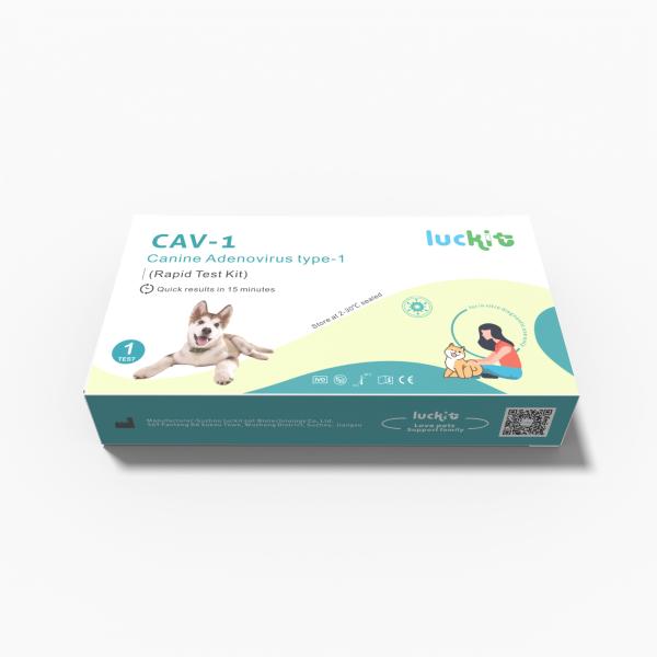 Quality Luckit Canineadenovirus type 1 CAV-1 PET DOG Test Kit Fast Reaction Rapid Class I for sale