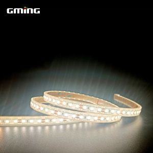 Dimming SMD 2835 LED Strip With 120 degrees Waterproof Sleeve