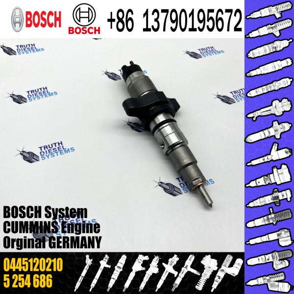 Quality Common Rail Fuel Injector 0445120018 0 445 120 018 0445120113 0 445 120 113 0445120210
