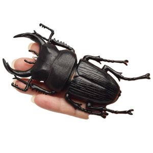 OEM factory custom Lifelike Model Simulation Insect Toy Nursery Teaching Aids