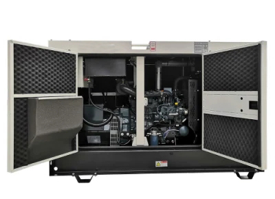 30kw 37.5kVA Revo Biogas Biomass Methane Generator For Agricultural Production