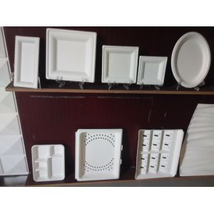Different shape available for disposable sugarcane pulp fruit or food plate