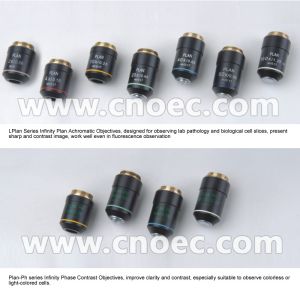 Laboratory Compound Optical Microscope with Infinity Trinocular Head