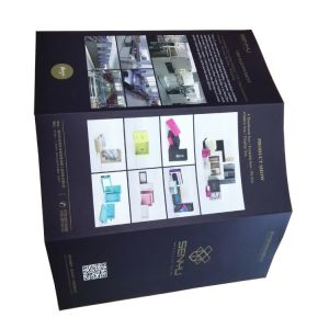 Private custom cheap presentation folder brochure advertising paper printing